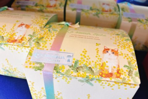 ネコ好きさん集まれ～今月のおすすめギフト登場♡