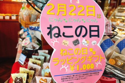 ２月２２日は『ねこの日』☆