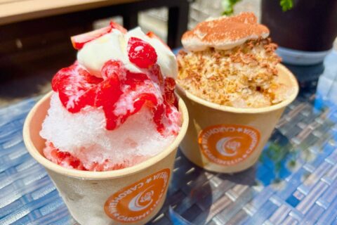 氷の食感を楽しめます！フワフワのかき氷が美味しい～