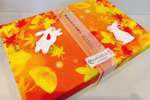 秋の彩り…四季のおもてなしギフトをどうぞ